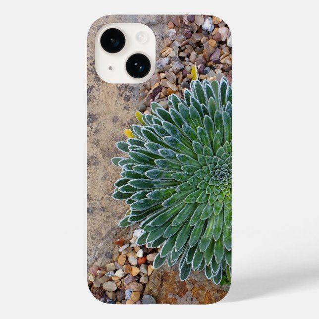 Succulent Desert plant Case-Mate iPhone Case (Back)