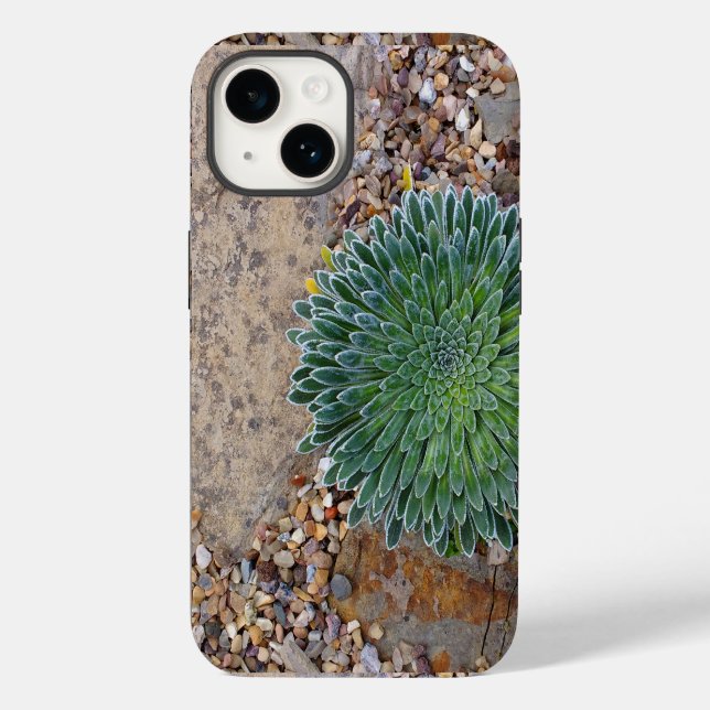Succulent Desert plant Case-Mate iPhone Case (Back)