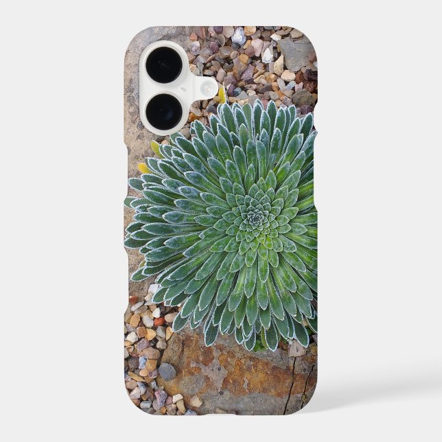 Succulent Desert plant Case-Mate iPhone Case (Back)
