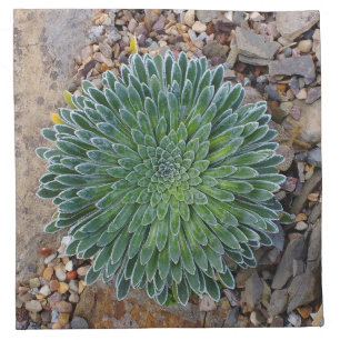 Succulent Desert plant Cloth Napkin