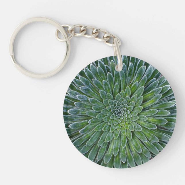 Succulent Desert plant Keychain (Front)