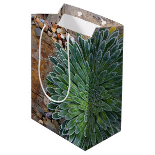 Succulent Desert plant Medium Gift Bag