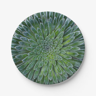 Succulent Desert plant Paper Plates