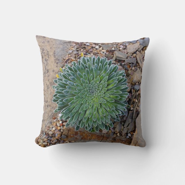 Succulent Desert plant Throw Pillow (Front)