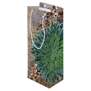 Succulent Desert plant Wine Gift Bag
