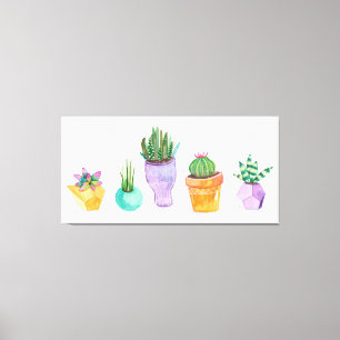 Succulent Display Canvas Print