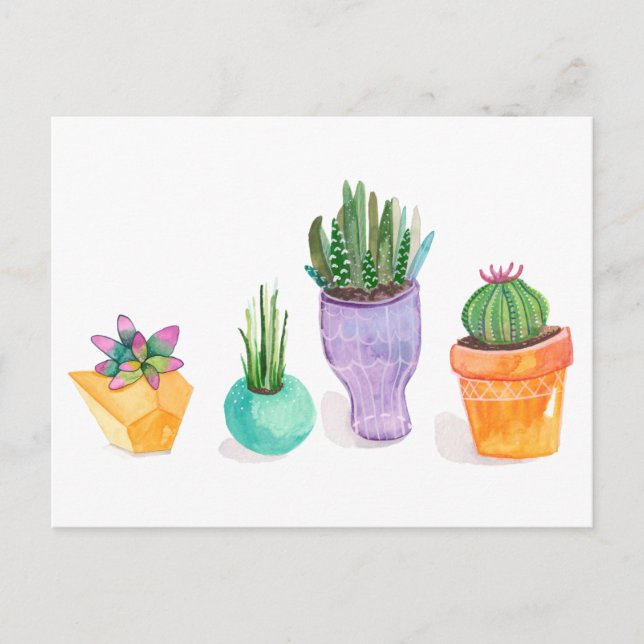 Succulent Display Postcard (Front)