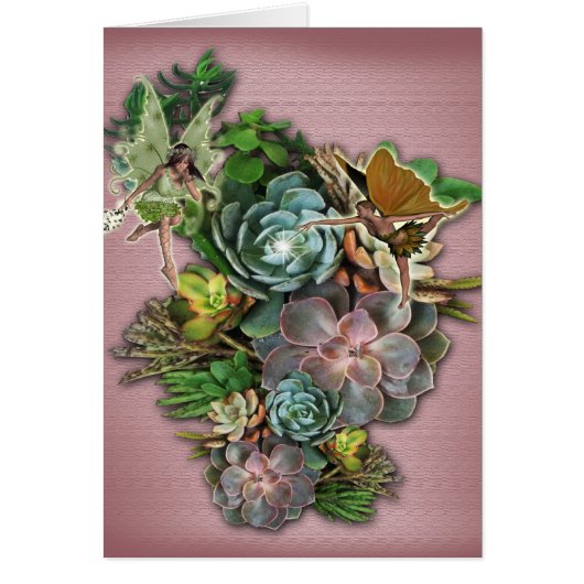 Succulent displays cards (Front)