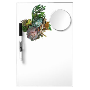 Succulent displays dry erase board with mirror