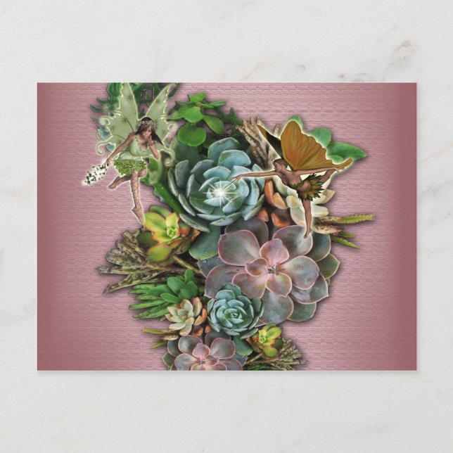 Succulent displays postcard (Front)