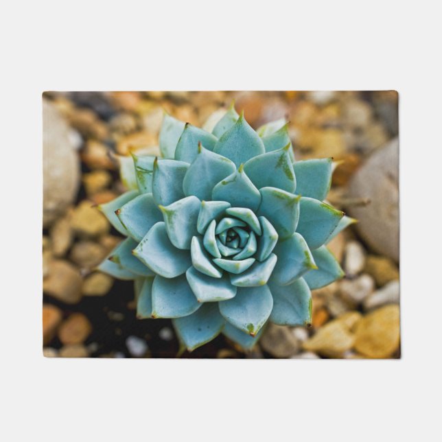 Succulent Doormat (Front)