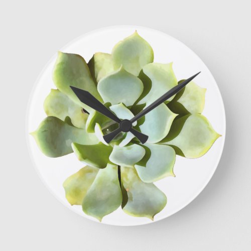 Succulent Echeveria Garden Plant Cut Out Round Clock