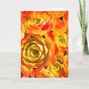 Succulent Echeveria Plant Card