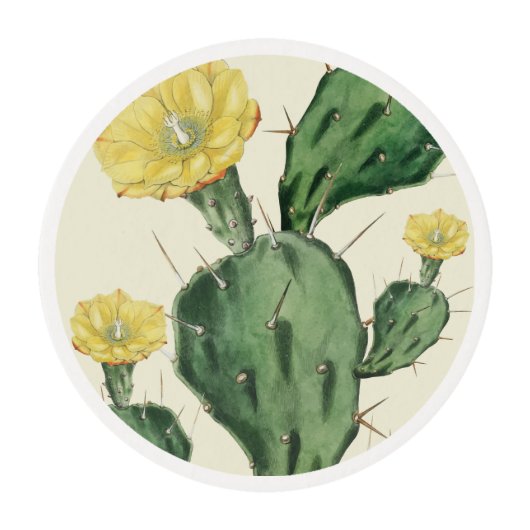 Succulent Edible Frosting Rounds (Front)