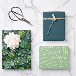 Succulent Flower Plant Pattern Green Color Set Wrapping Paper Sheets