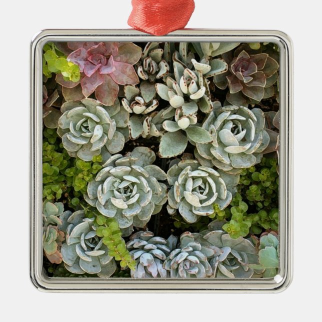Succulent Garden 1 Metal Ornament (Front)