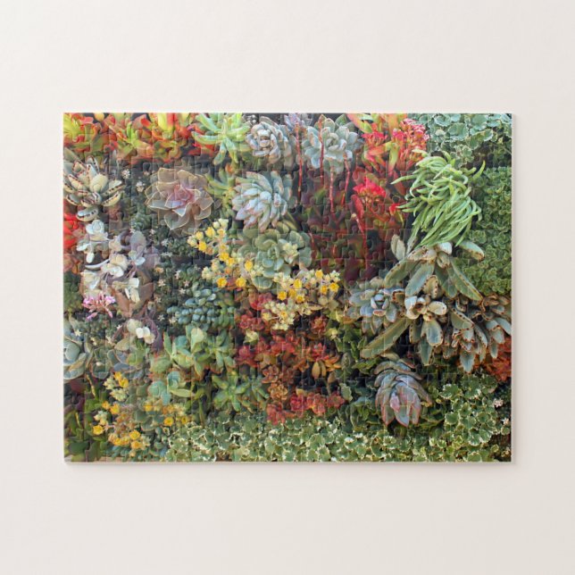Succulent Garden 2 Jigsaw Puzzle (Horizontal)