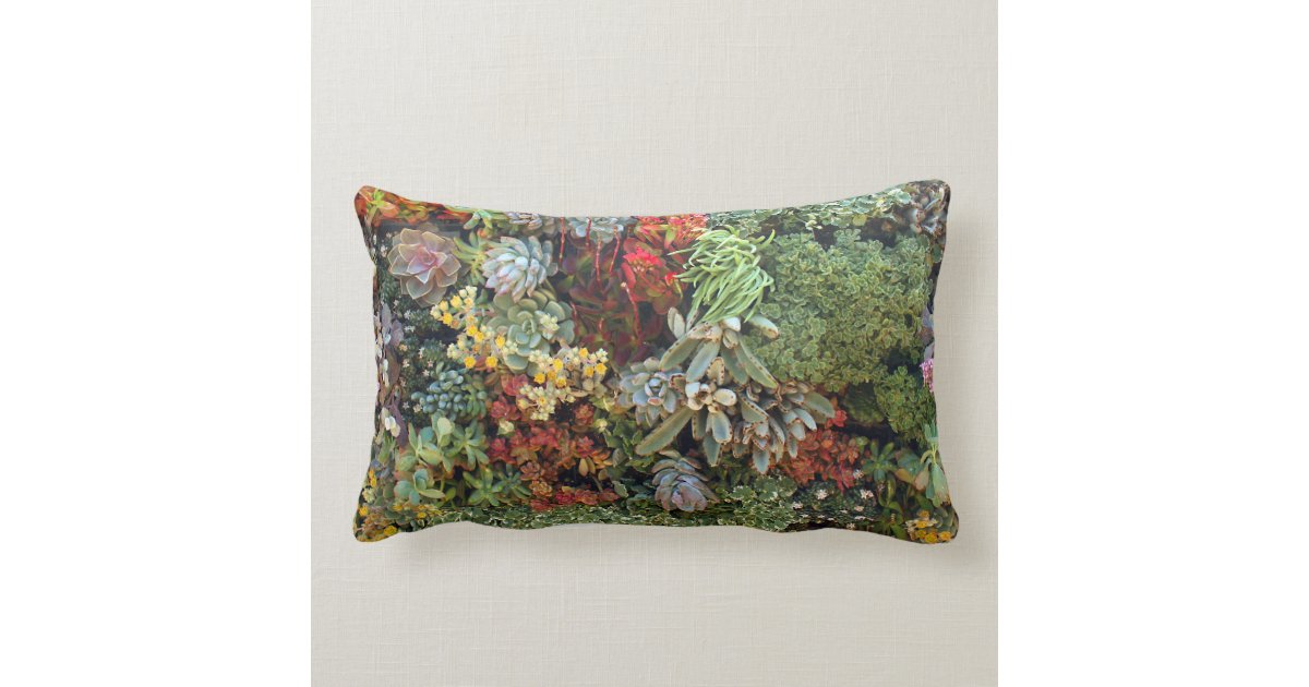 Succulent Garden 2 Lumbar Pillow | Zazzle