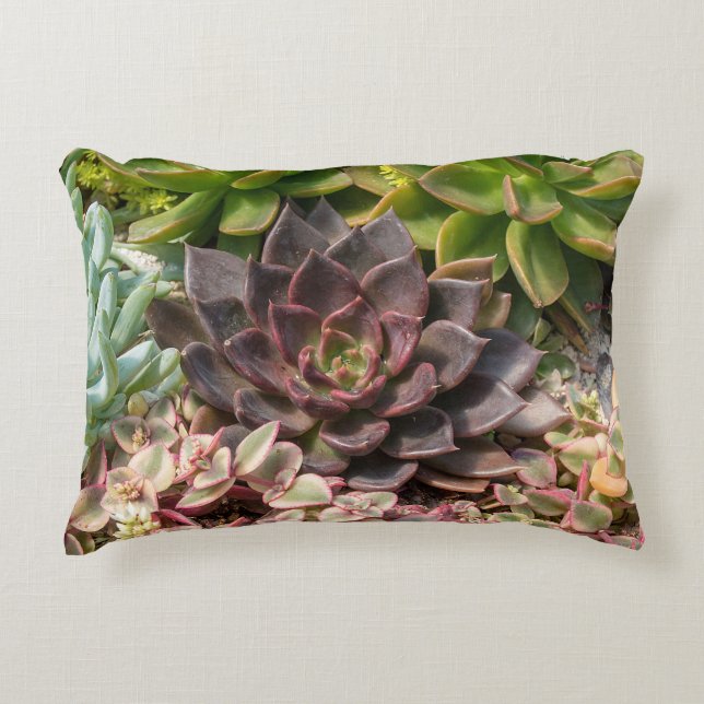 succulent garden accent pillow (Front)