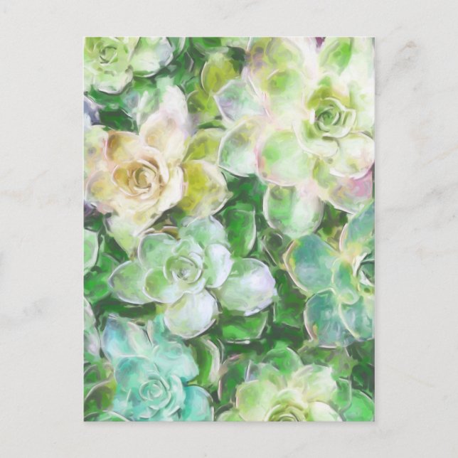 Succulent Garden by Cindy Bendel Postcard (Front)