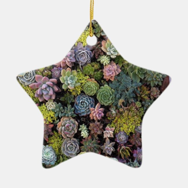 Succulent garden design ceramic ornament (Front)