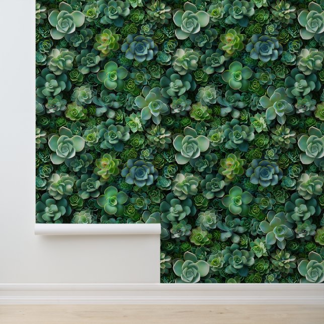Succulent garden flora green pattern wallpaper  (Application)