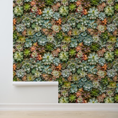 Succulent garden flora green pattern wallpaper 