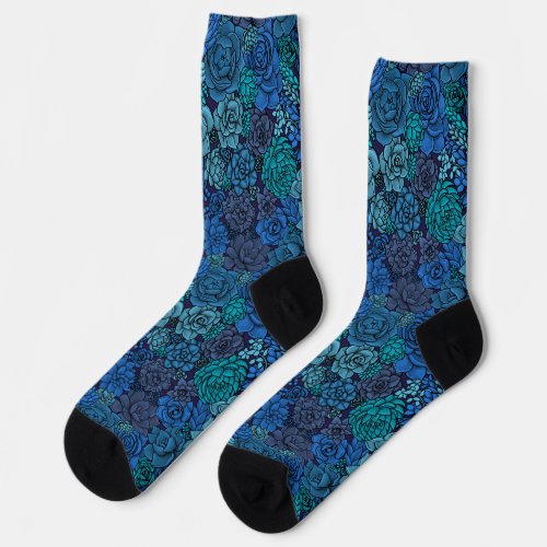 Succulent garden in blue socks