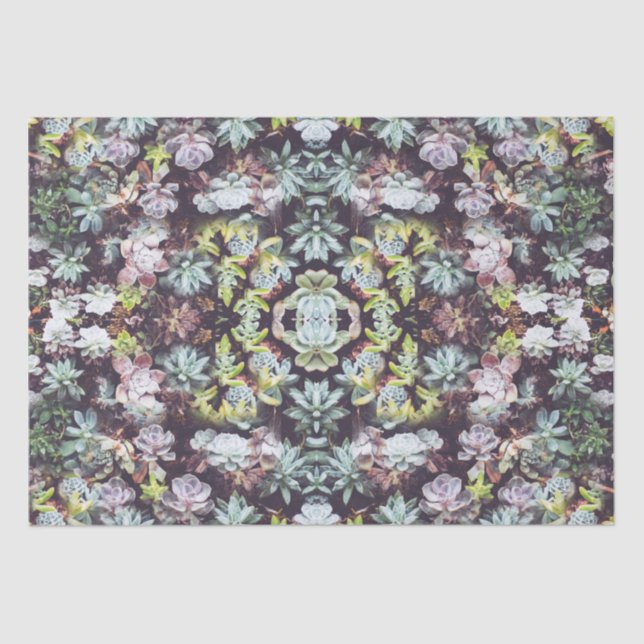 Succulent Garden Plants Photo Pattern Tissue Paper (Front)