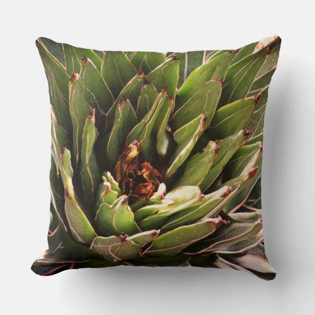 Succulent Green Plant Aloe Botanical Photography  Throw Pillow (Front)