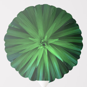 Succulent Green Spike Plant  Balloon