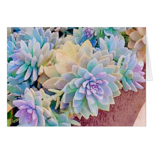 Succulent greeting card 