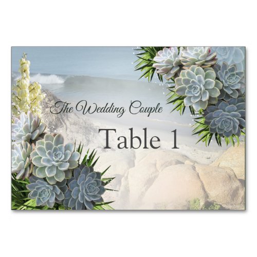 Succulent Hues of Pale BluesTable cards