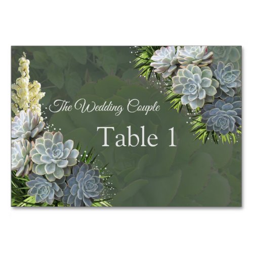 Succulent Hues of Pale BluesTable cards