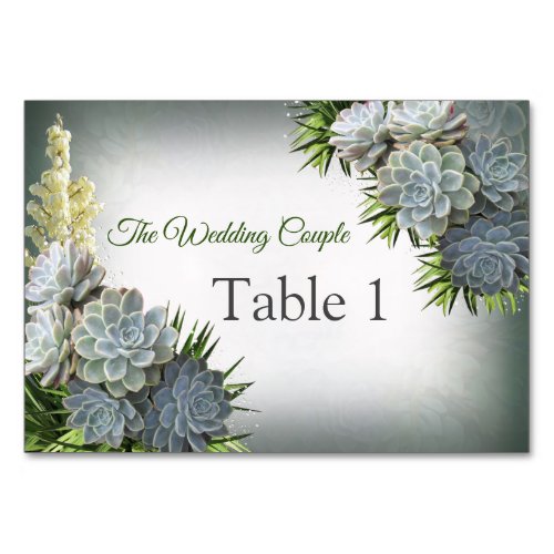 Succulent Hues of Pale BluesTable cards