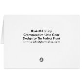 Succulent in Basket by Succulent Designs Cards (Back Horizontal)