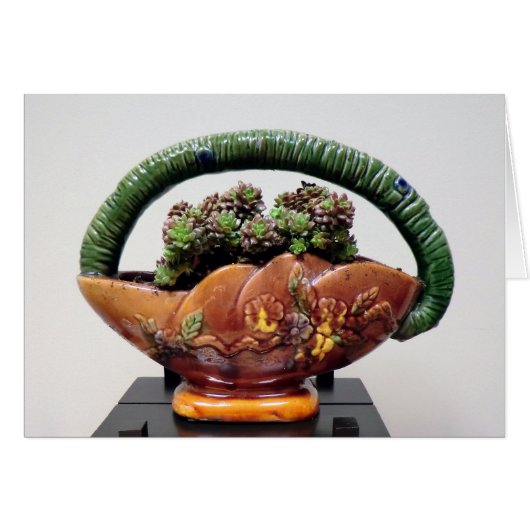 Succulent in Basket by Succulent Designs Cards (Front Horizontal)