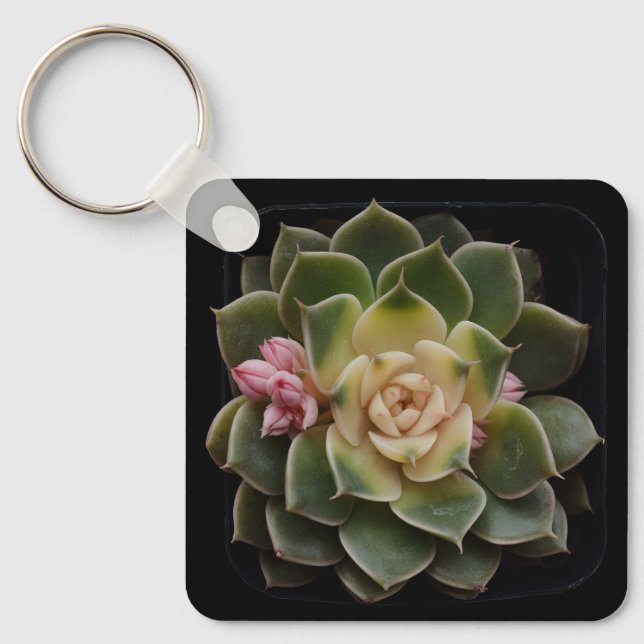 Succulent in Pot 7 Keychain (Front)