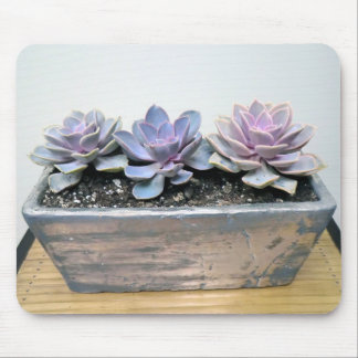Succulent in Silver Mouse Pad