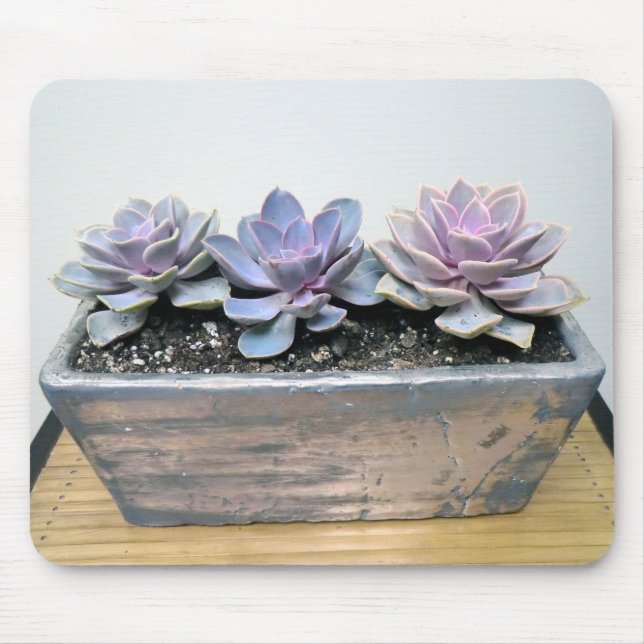 Succulent in Silver Mouse Pad (Front)