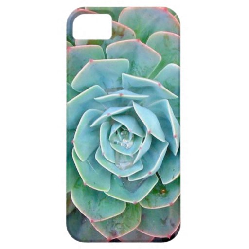 Succulent iPhone Case | Zazzle