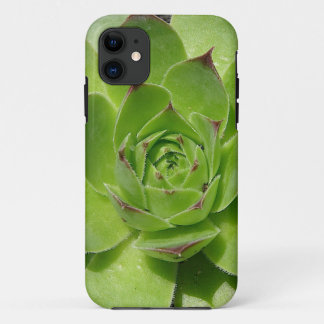 Succulent iPhone Case