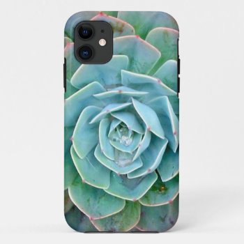 Succulent Iphone Case by wordzwordzwordz at Zazzle