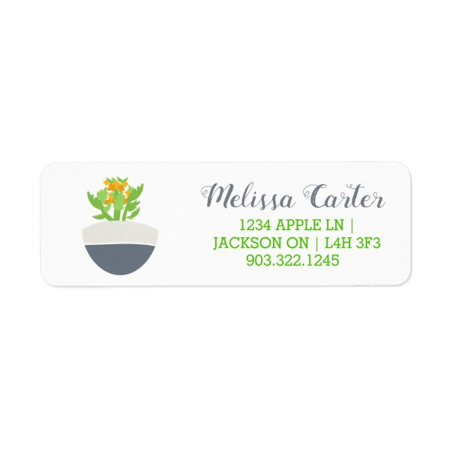Succulent Kalanchoe Plant Mom Pattern Label (Front)