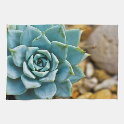 Succulent Kitchen Towel