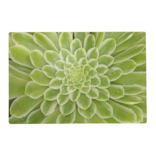 Succulent Laminated Placemat