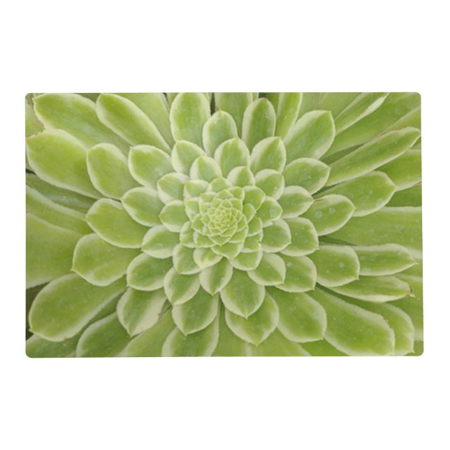 Succulent Laminated Placemat (Front)