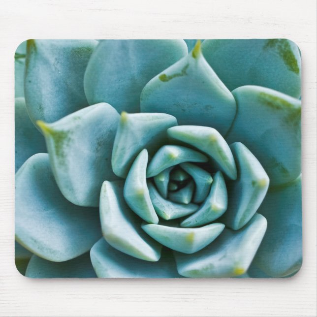 Succulent Mouse Pad (Front)