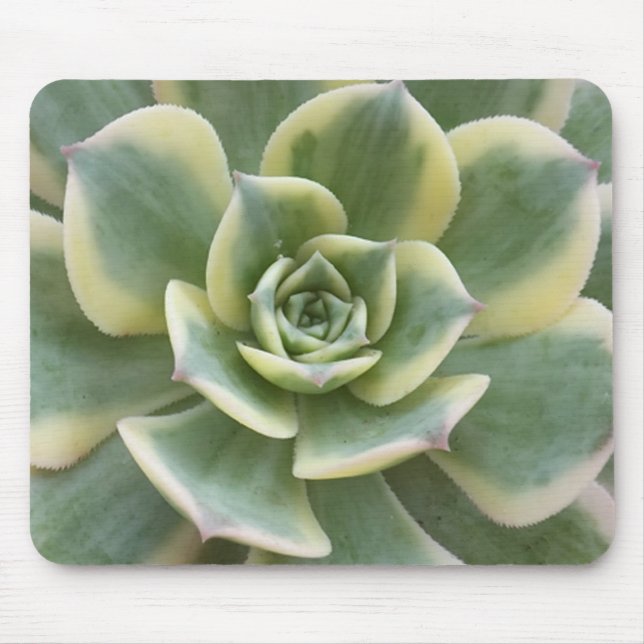 Succulent Mouse Pad (Front)