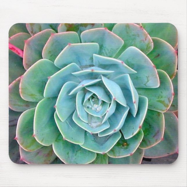 Succulent Mouse Pad (Front)